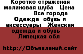 Коротко стриженая малиновая шуба › Цена ­ 10 000 - Все города Одежда, обувь и аксессуары » Женская одежда и обувь   . Липецкая обл.